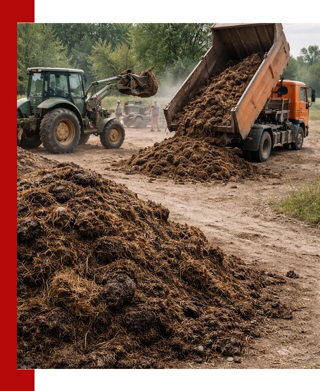 Доставка навоза самосвалами в Кинели для сельхозпотребностей